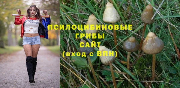 кокс Сатка