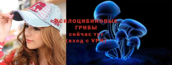 apvp Саяногорск