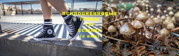 apvp Саяногорск